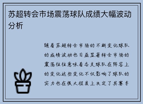 苏超转会市场震荡球队成绩大幅波动分析